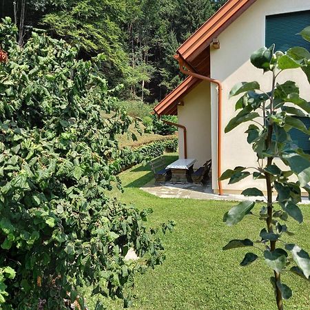 Ferienhaus Manuela Velden am Wörthersee Εξωτερικό φωτογραφία