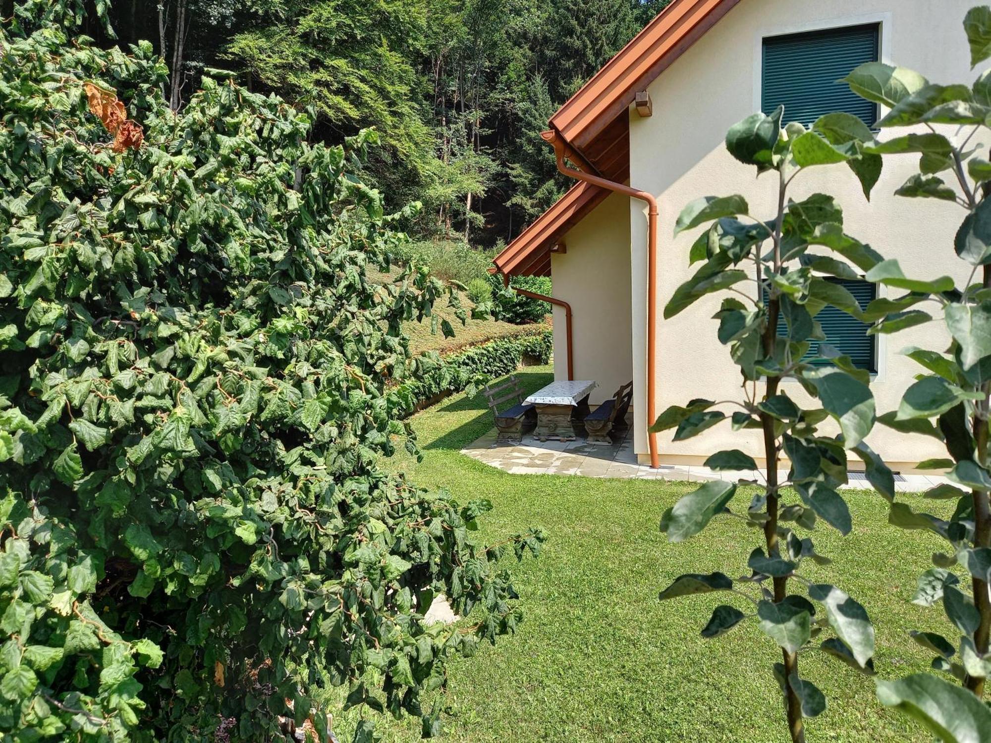 Ferienhaus Manuela Velden am Wörthersee Εξωτερικό φωτογραφία